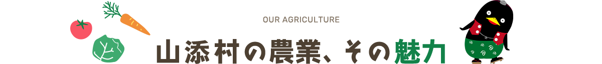 OUR AGRICULTURE 山添村の農業、その魅力